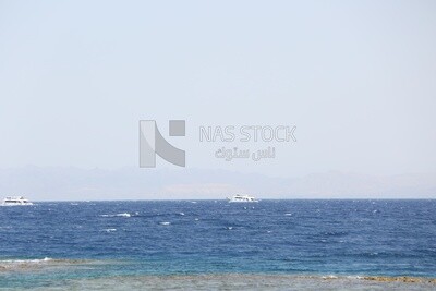 Yacht sailing in the water