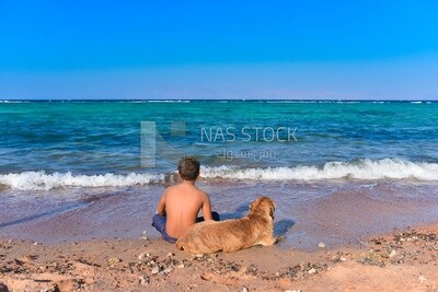 Child sitting with his dog on the seashore