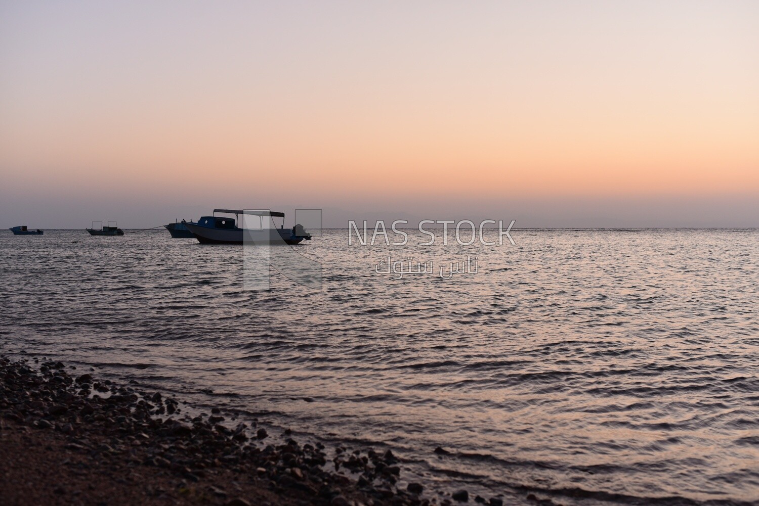 Boats docked in the sea
