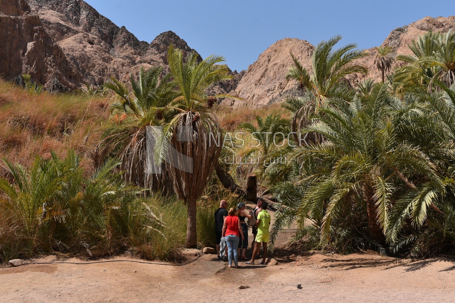 Group of tourists going to walk in the desert