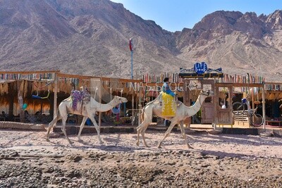 طفل يستمتع بركوب الجمال والتجول بها , التخييم , السياحة فى مصر , دهب , شبة جزيرة سيناء , مصر