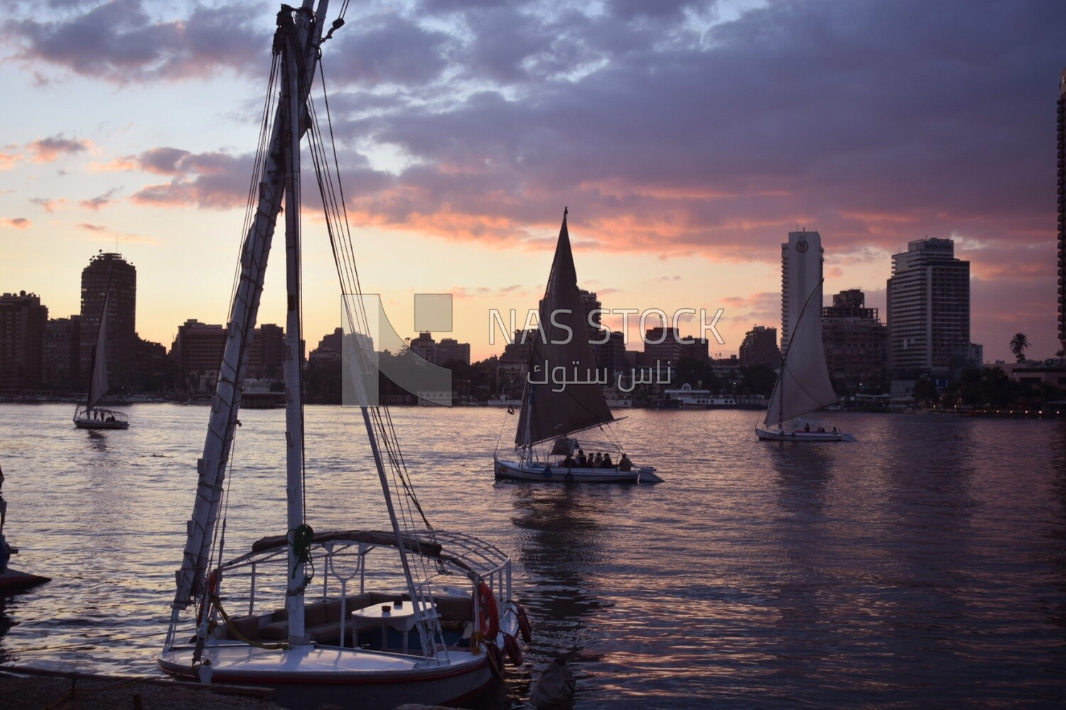 Picture showing a group of sailboats cruising in the Nile River at sunset
