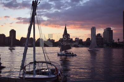 Picture showing a group of sailboats cruising in the Nile River at sunset