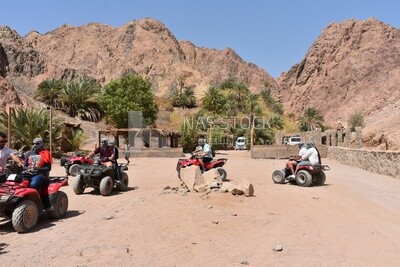 Tourists ride quad bikes