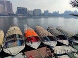 Picture showing a group of traditional feluccas moored in the Nile River