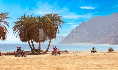 Group of tourists riding quad bikes