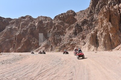 Tourists ride quad bikes