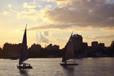 Picture showing sailboats navigating the Nile River