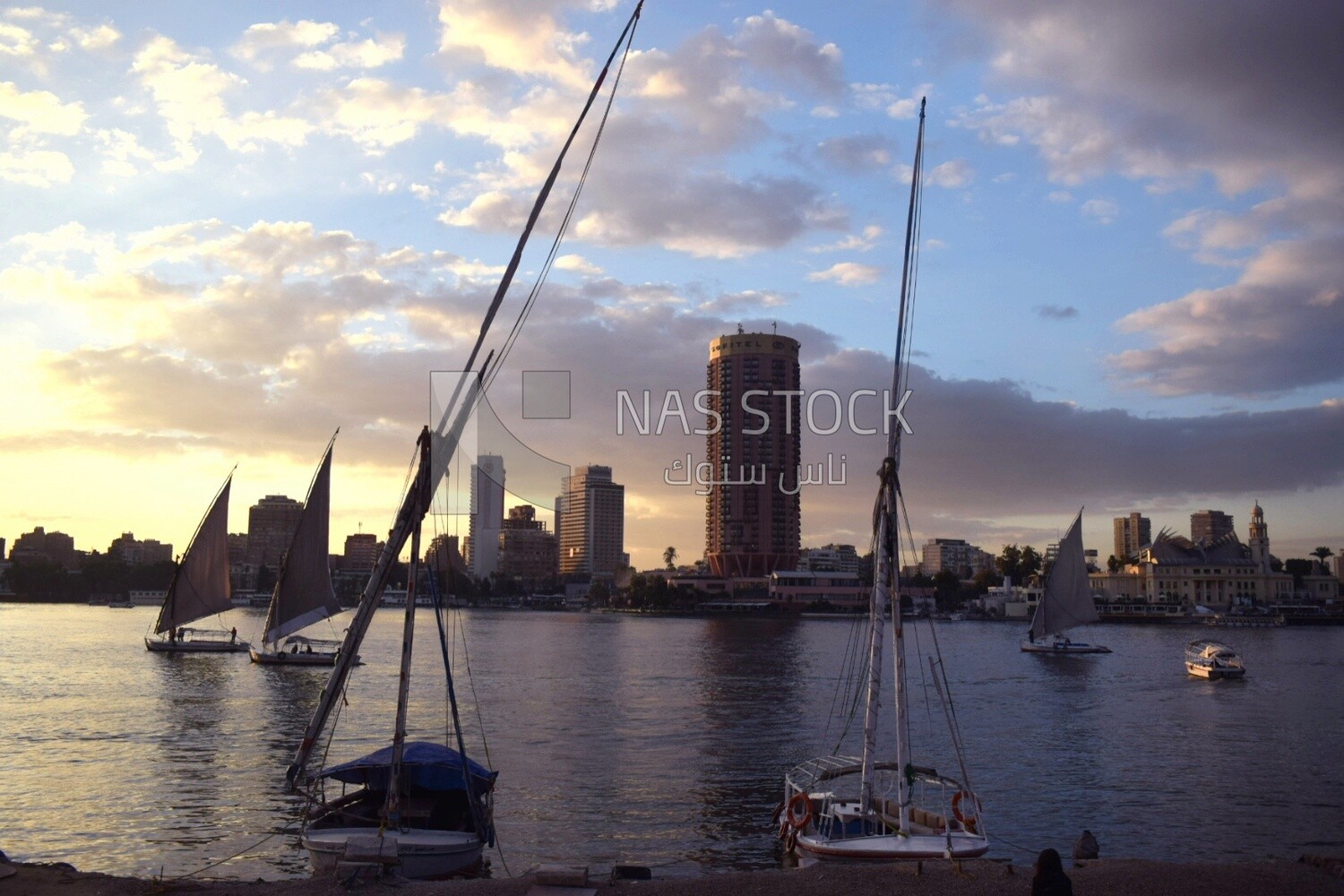 Picture showing a group of sailboats cruising in the Nile River in front of the Sofitel El Gezirah Hotel