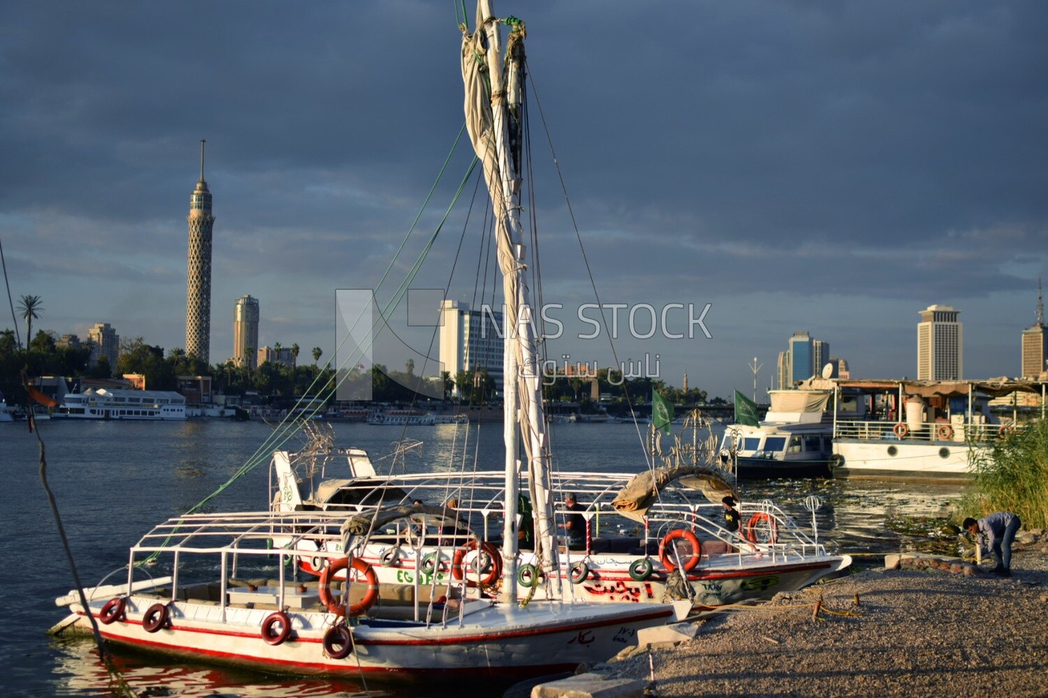 Picture showing a group of Nile feluccas moored in the Nile River in front of the Cairo Tower