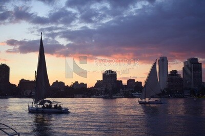 Picture showing sailboats taking a tour of the Nile River at sunset