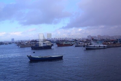 Cloudy skies in winter