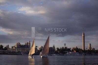 Picture showing the felucca and the Nile boats as they roam the Nile River at the Museum of the Revolutionary Command Council