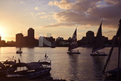 Picture showing a group of sailing boats navigating the Nile River