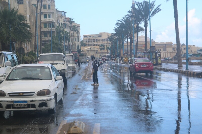 Cars drive on the Alexandria Corniche