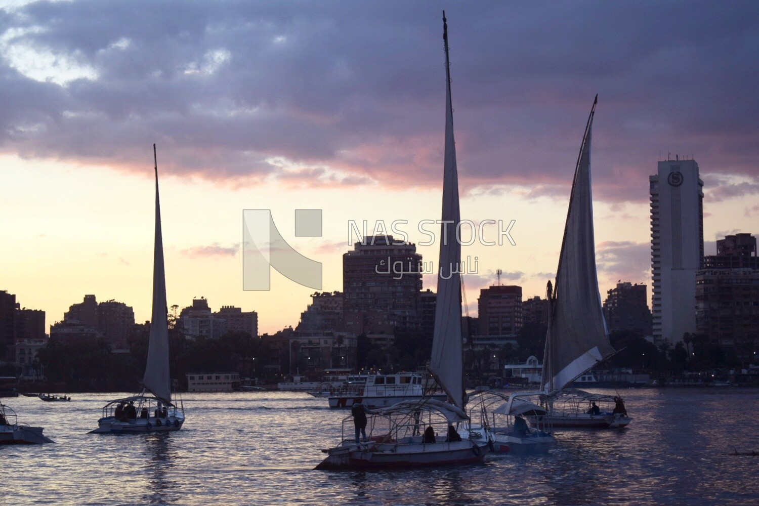 Picture showing a group of sailboats cruising in the Nile River in front of the Sheraton Hotel during sunset
