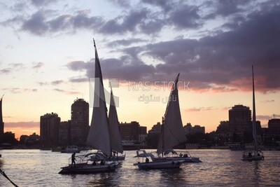 Picture showing a group of sailing boats navigating the Nile River