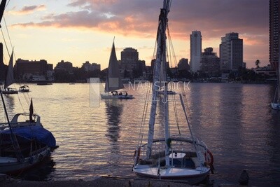 Picture showing a group of sailing boats navigating the Nile River