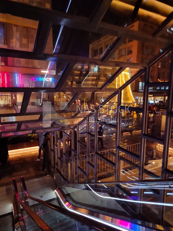 Glass escalators