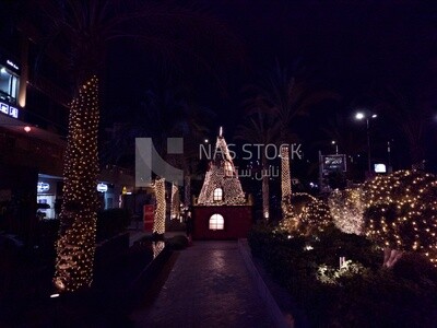 Lighting garden