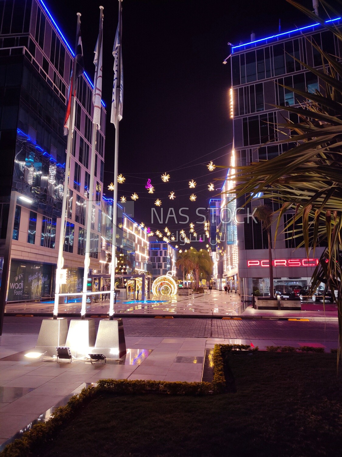 Lighting trees and building