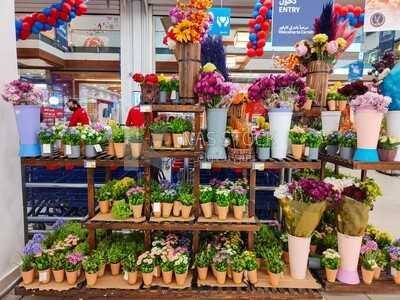 Flower corner in carffor ,mall