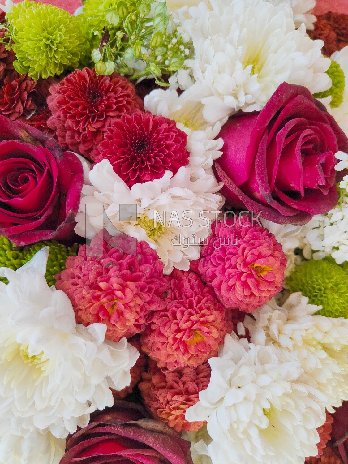 Wonderful color flowers
