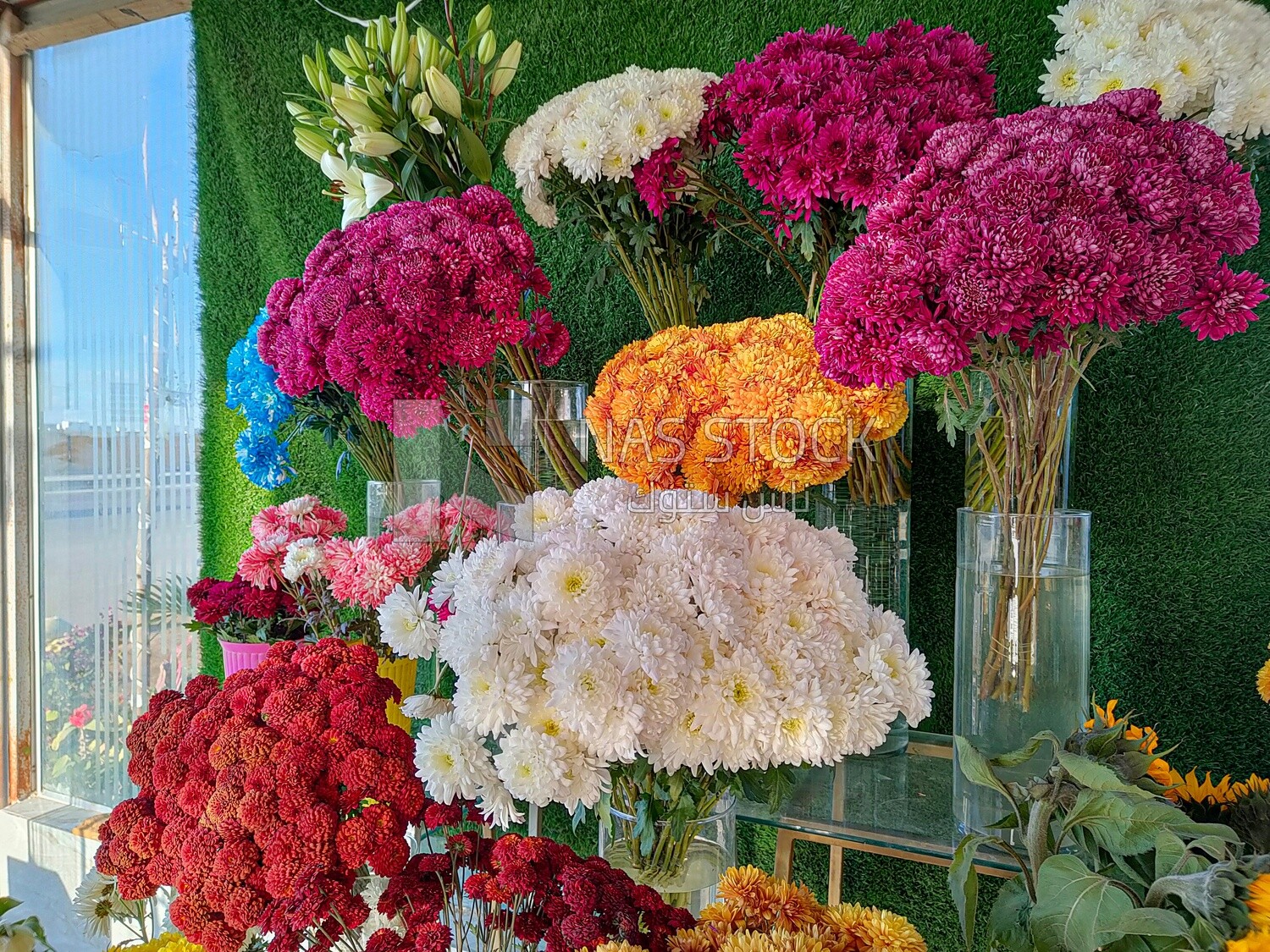 Flowers inside vases of different colors