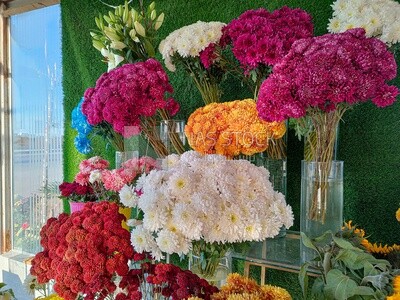 Flowers inside vases of different colors