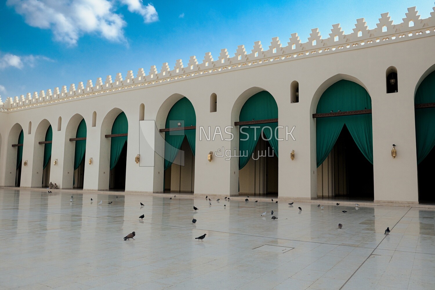 Pigeons walking in the prayer yard of Al-Hakim Mosque ,cairo , Egypt