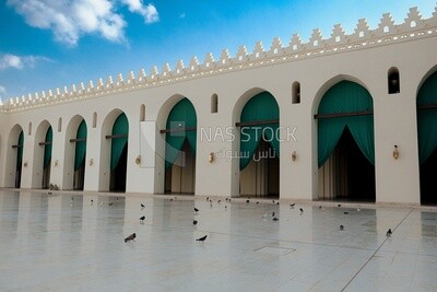 Pigeons walking in the prayer yard of Al-Hakim Mosque ,cairo , Egypt