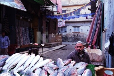 Man sitting selling fish in the street, street, work