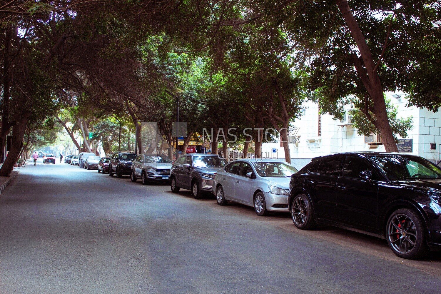 Cars parked on both sides of the street in the Zamalek neighborhood in Cairo