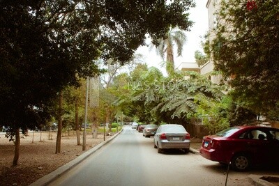 One of the quiet streets of Cairo