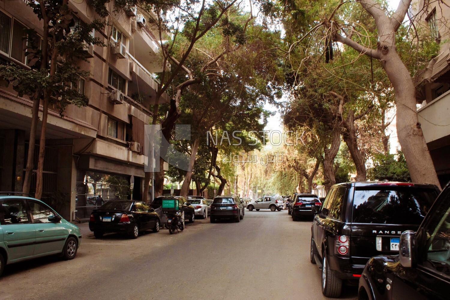 One of the quiet streets of Zamalek, Cairo