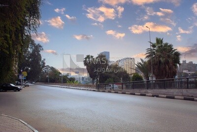 One of the elegant streets of Zamalek in Cairo