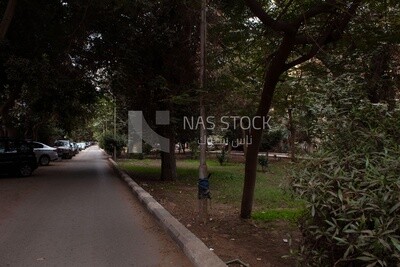 Picture showing a small garden in one of the streets of Cairo