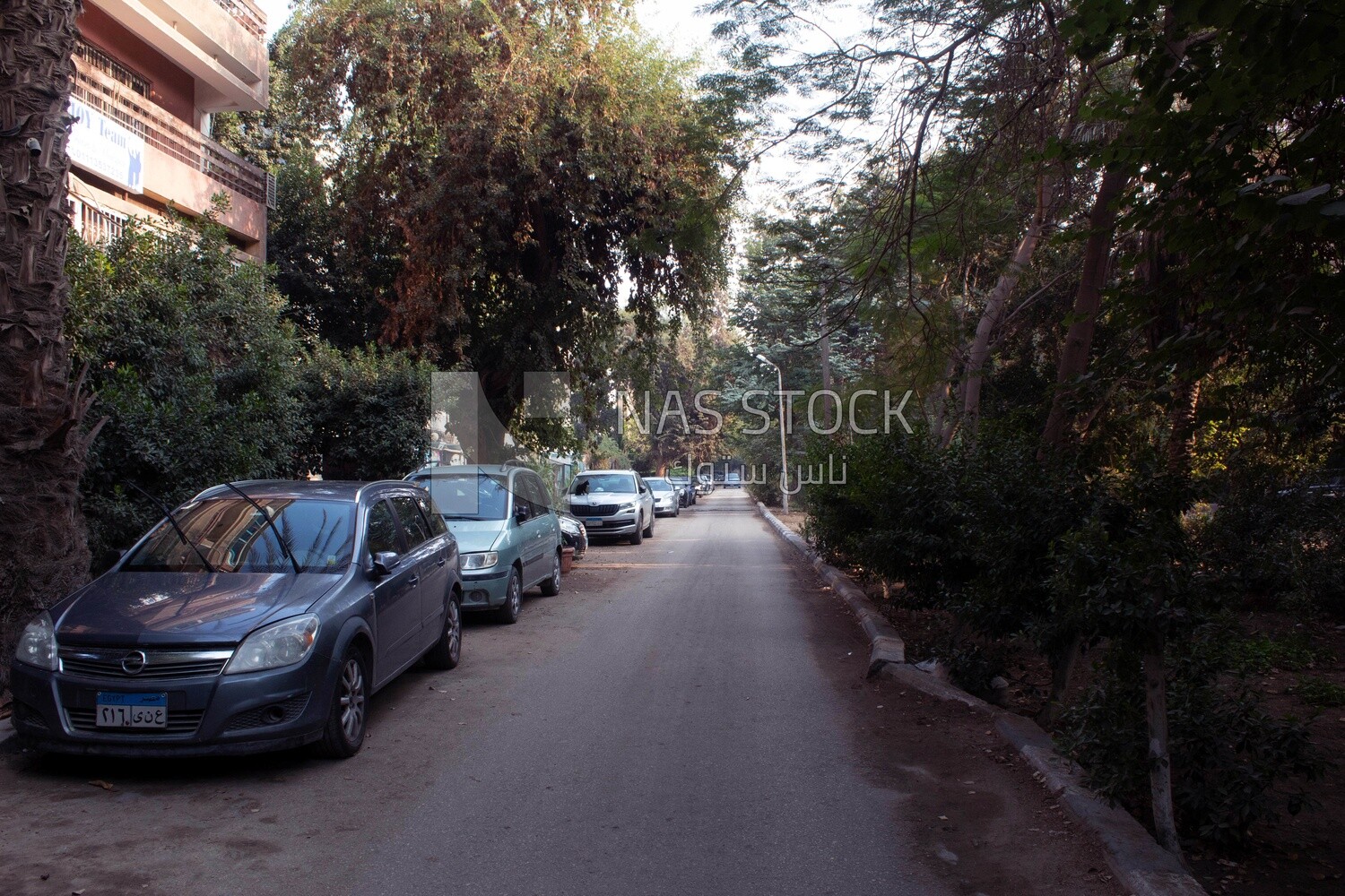 One of the quiet streets of Cairo