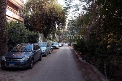 صورة احد شوارع القاهرة الهادئة