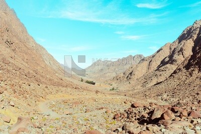 جبال شبة جزيرة سيناء , دير سانت كاترين ,مصر