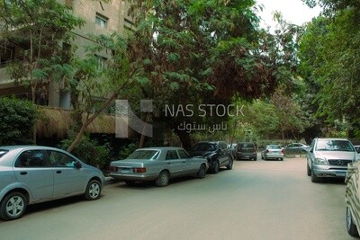 Showing some cars parked in the street
