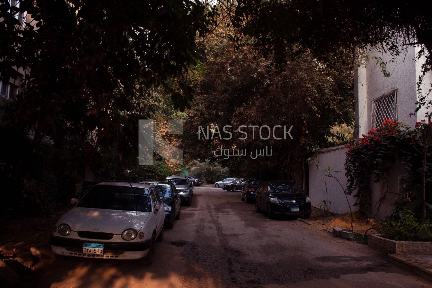Showing some cars parked in the street