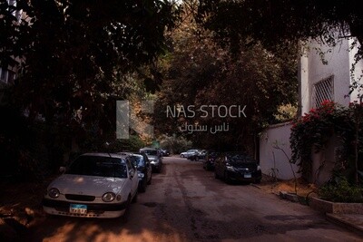 Showing some cars parked in the street