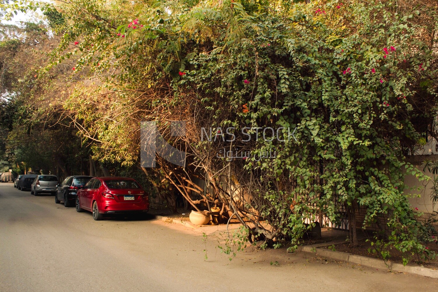 One of the high-end areas in Cairo