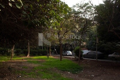 Small garden in one of the streets of Cairo