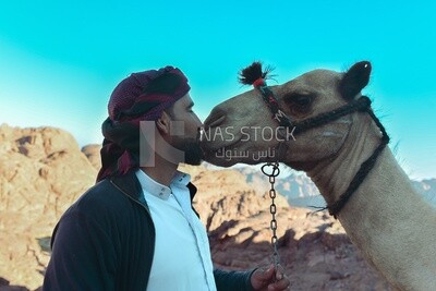 Bedouin man kisses his camel, Egypt.