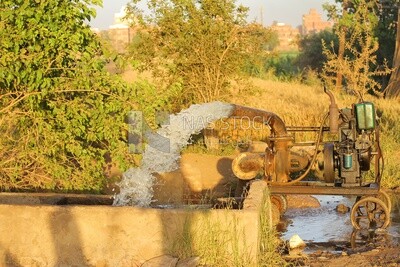 View of Tube well in rural, rural life, farm trees, and green plants, farm fields, trees and crops, farmland, a scenic landscape