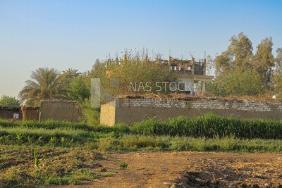 منزل بجانب شجرة فى الحقل ، حياة ريفية ،  أشجار مزرعة ونباتات خضراء ، حقول زراعية ، أشجار ومحاصيل ، أرض زراعية ، مناظر طبيعية خلابة
