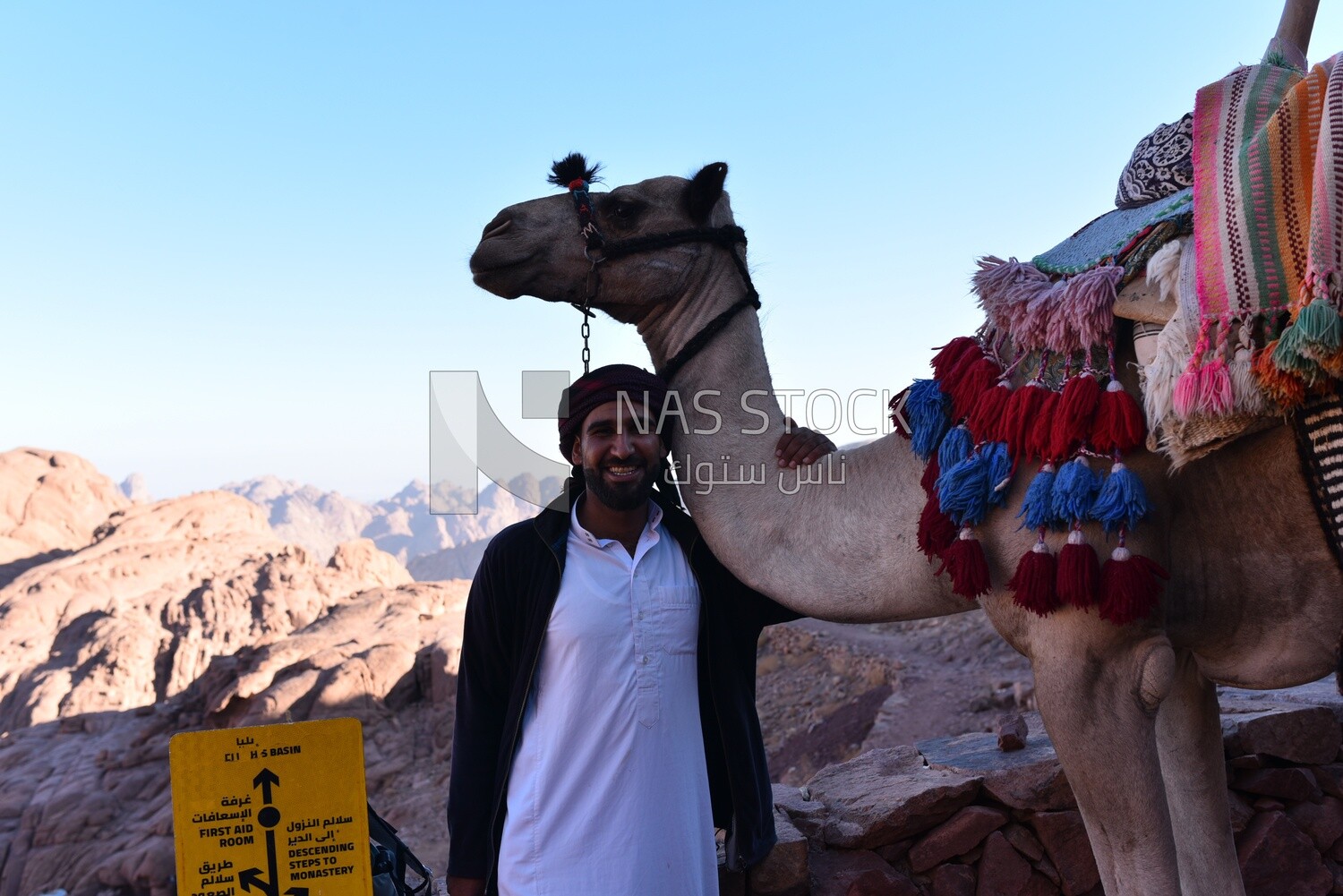 Man takes a photo with his camel, Egypt