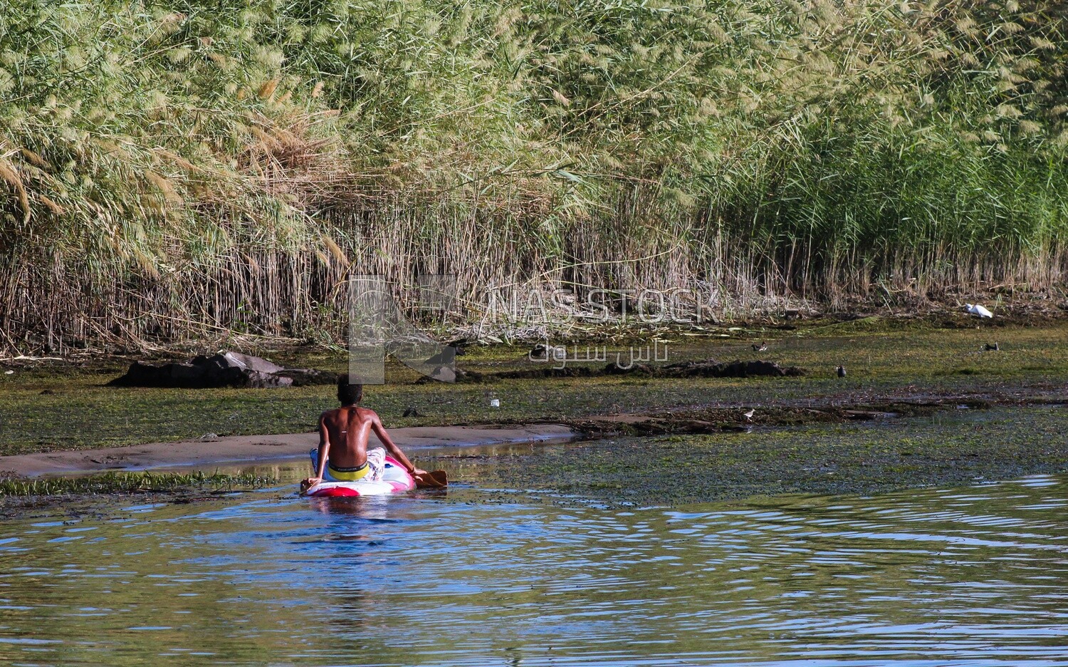 Teenage boy with dark skin swimming in the Nile River, Aswan,Egypt